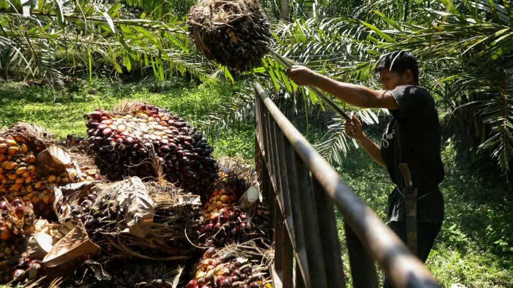 Indonesia's palm oil export ban heats up vegetable oil market