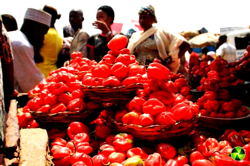 Soil degradation: Global Food production to fall by 40 per cent if"¦ "” Expert
