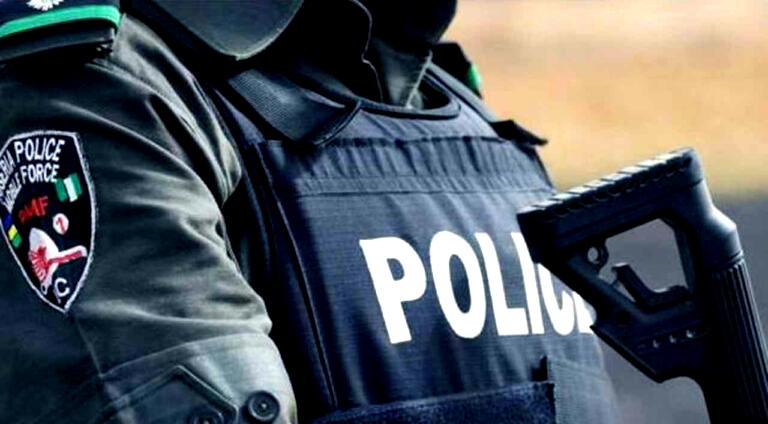 Kidnapping: Police arrest 87 suspects, rescue 20 victims in Adamawa